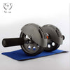 Heavy Duty Dual Wheels Ab-Roller